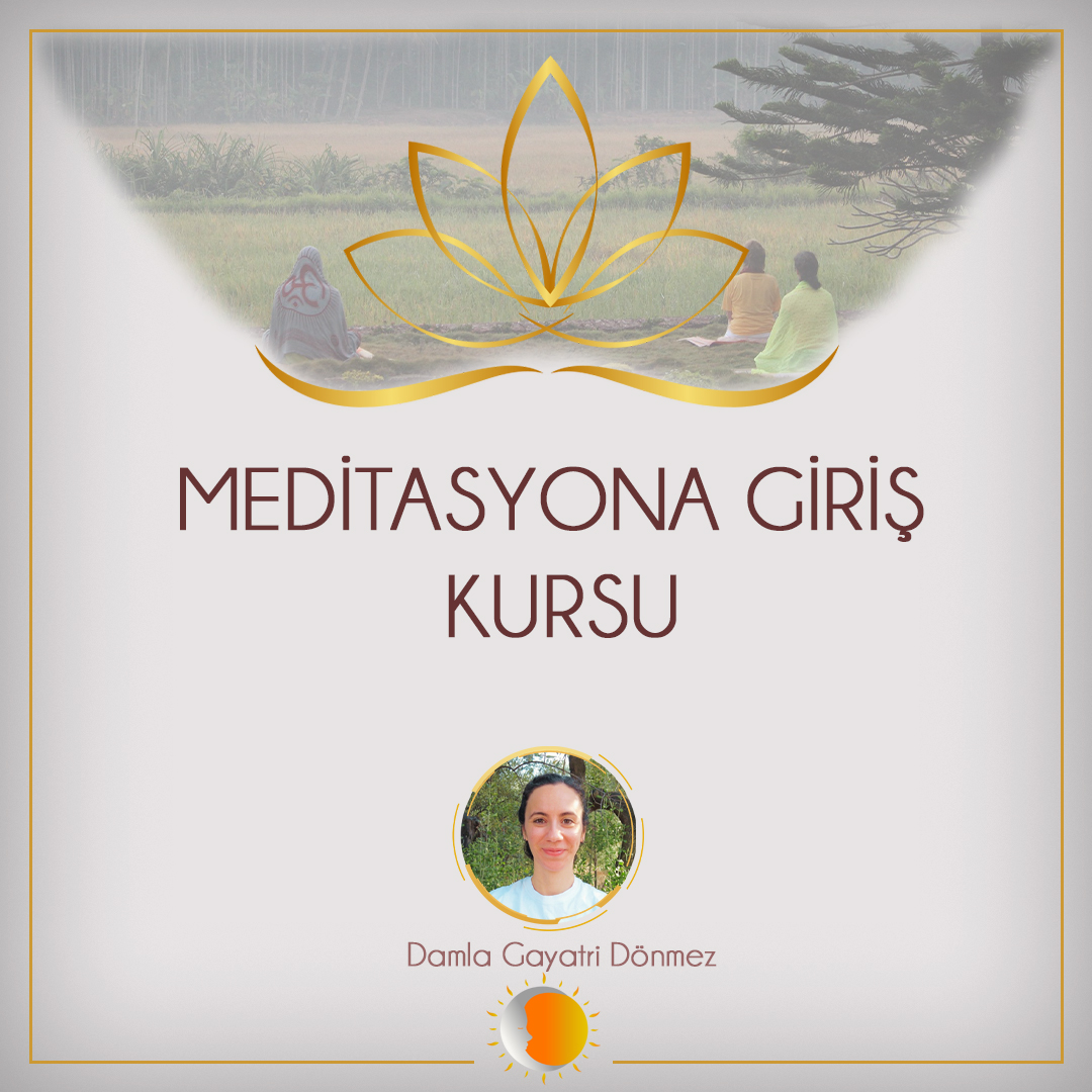 Kurs